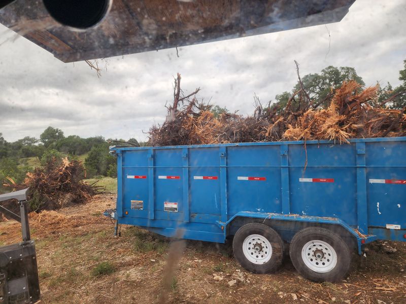 Land Clearing gallery