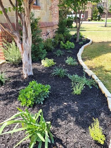 Plant Installations