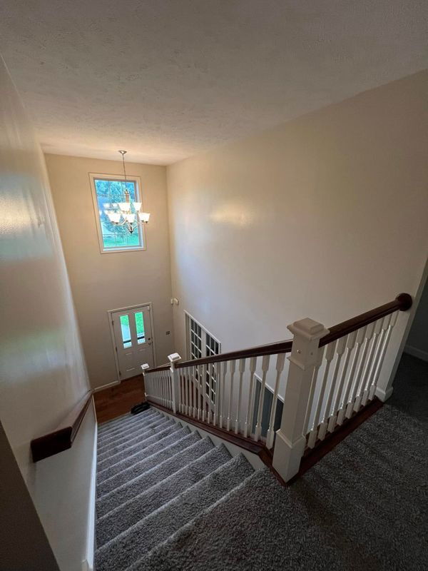 Painting Services
