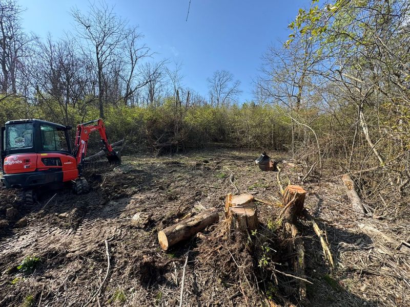 Land Clearing