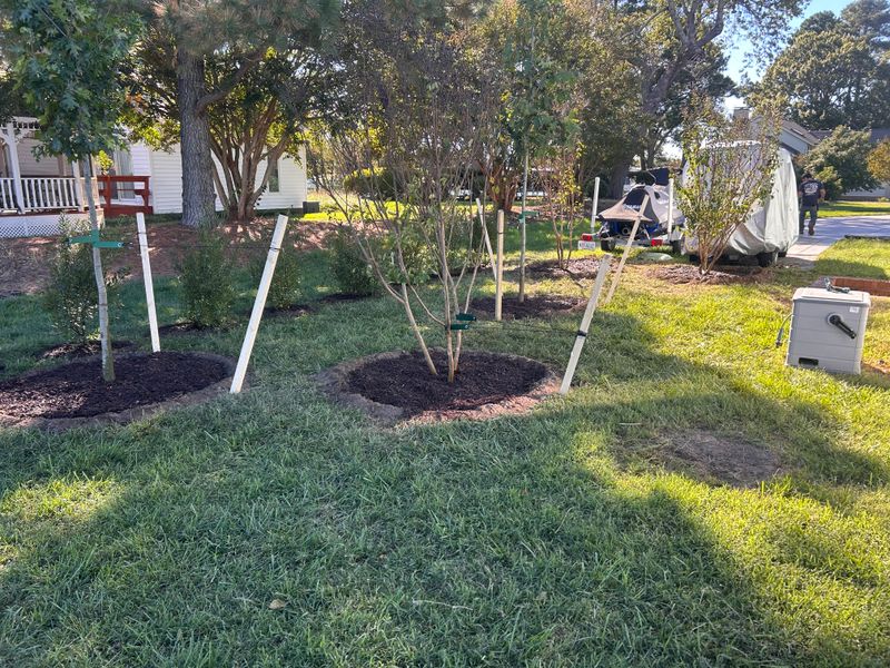 Mulch Installation