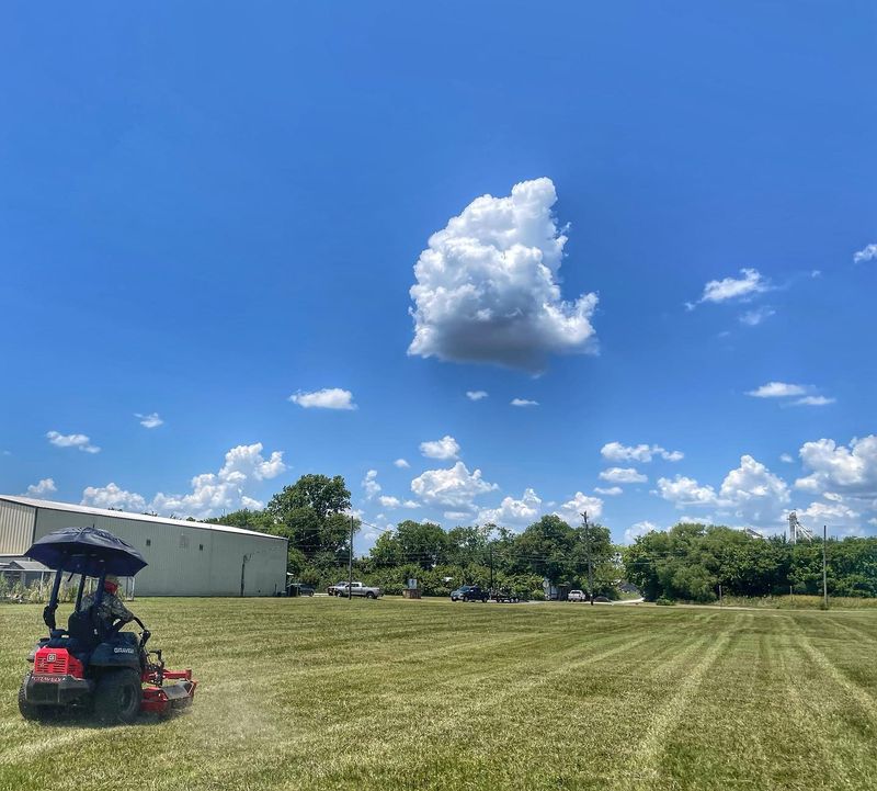 Lawn Care