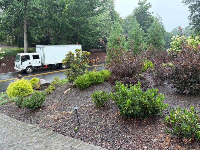 Planting and Installation