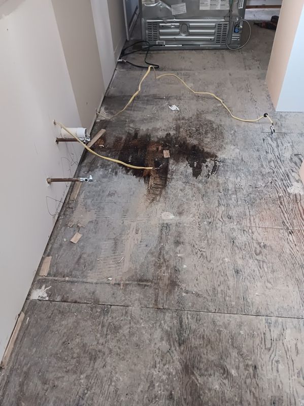 Subfloor repair and Beam Shoring