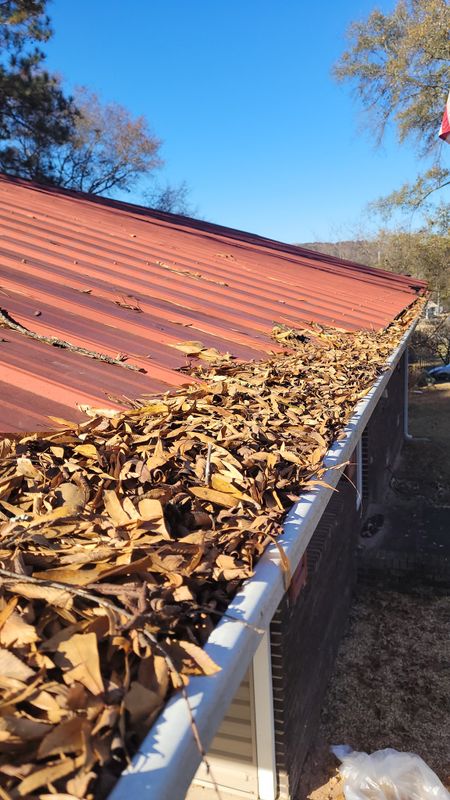 Gutter Cleaning