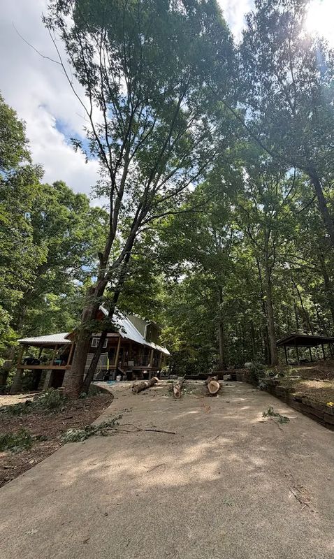 Storm Damage Tree Removal