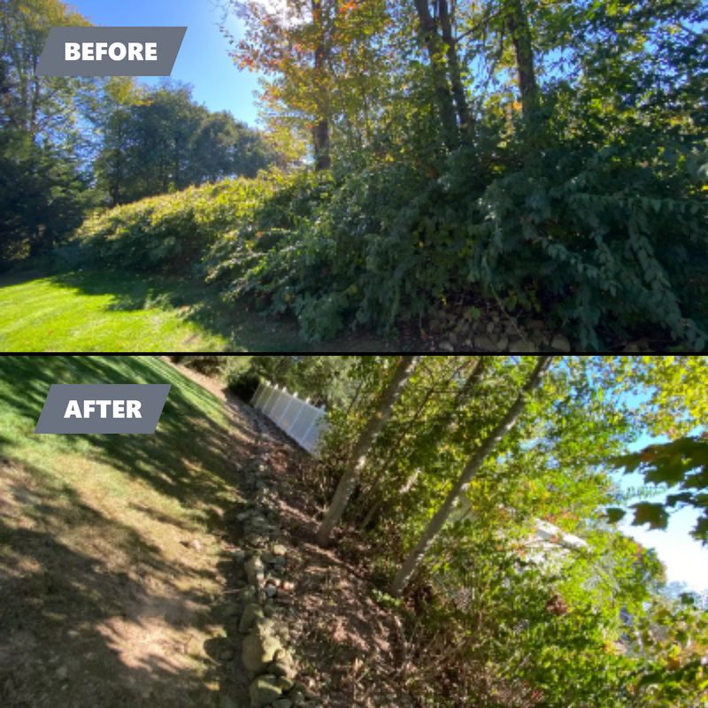 Lawn Maintenance