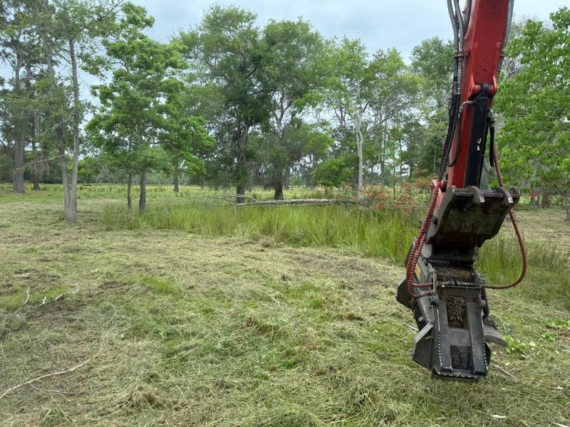 Land Clearing