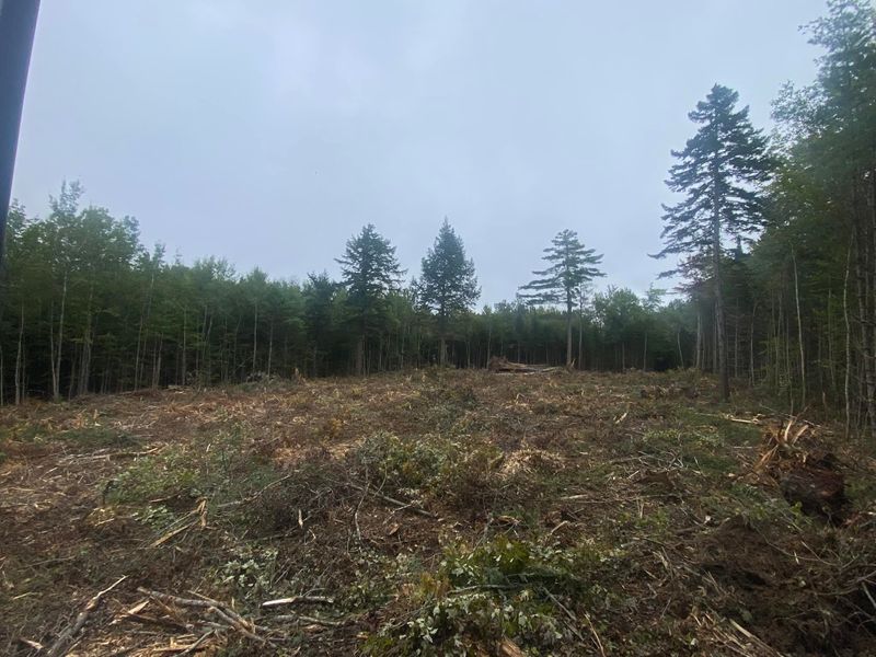 Land Clearing & Forestry Mulching