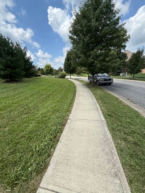 Lawn Mowing