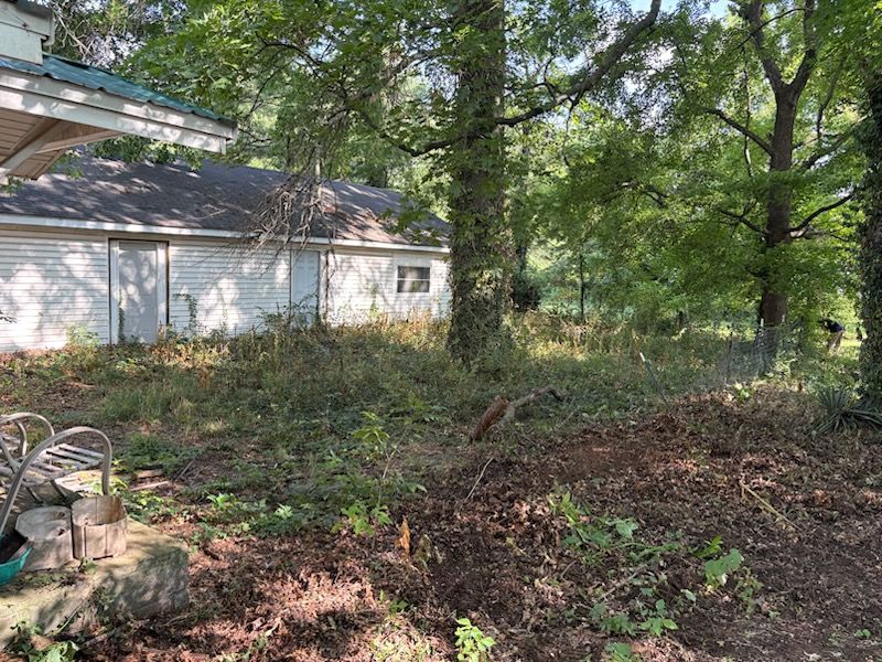 Brush Clearing