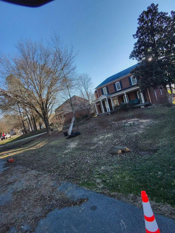 Stump Removal