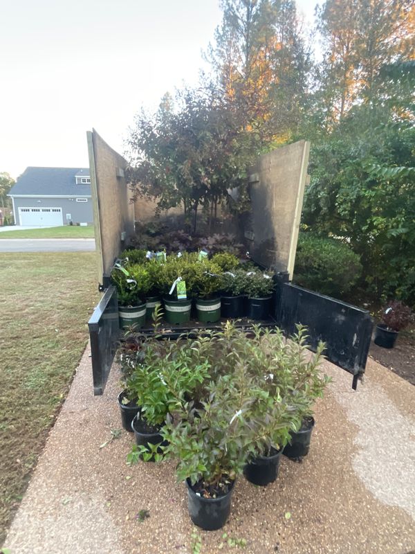 Garden Designs