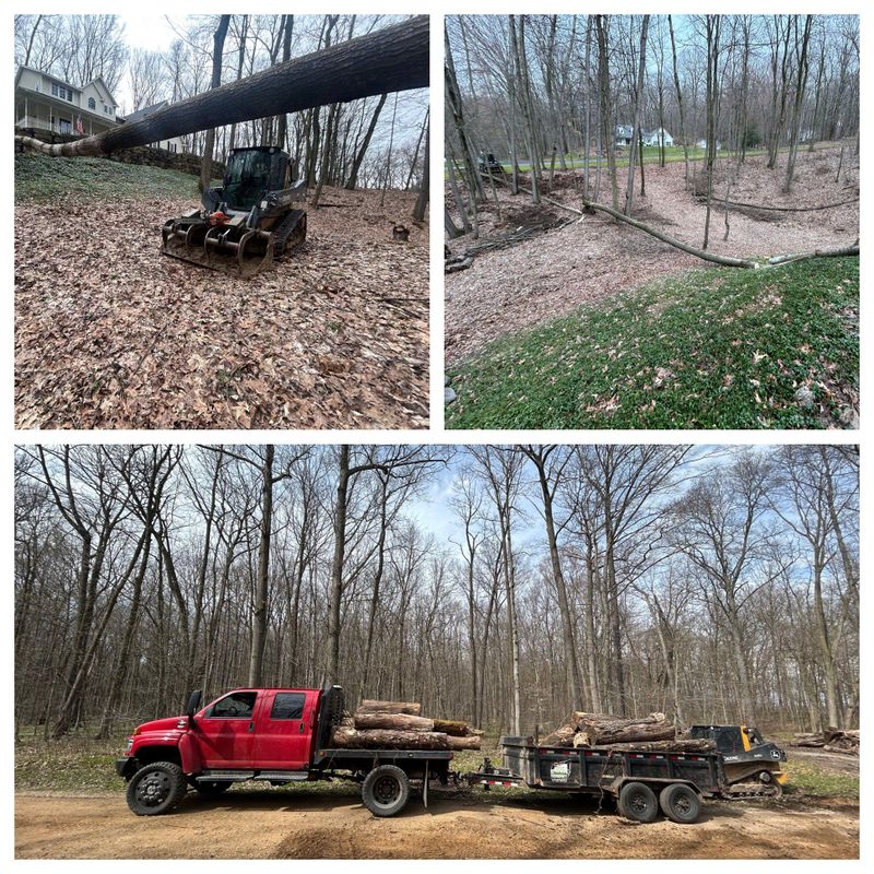 Debris Removal