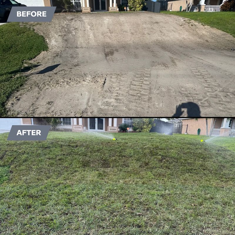 Sod installation