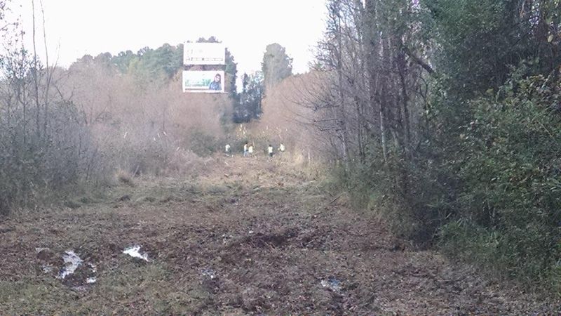 Land Clearing and Development