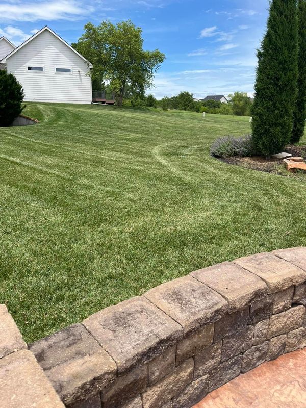 Lawn Maintenance