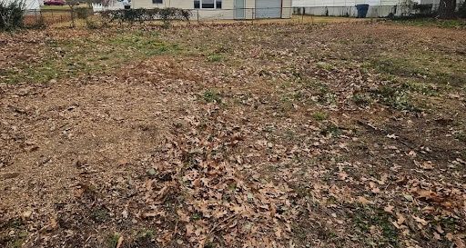Stump Grinding
