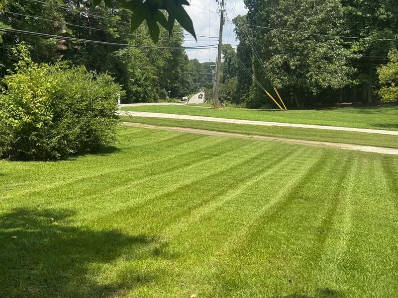 Recurring Lawn Maintenance