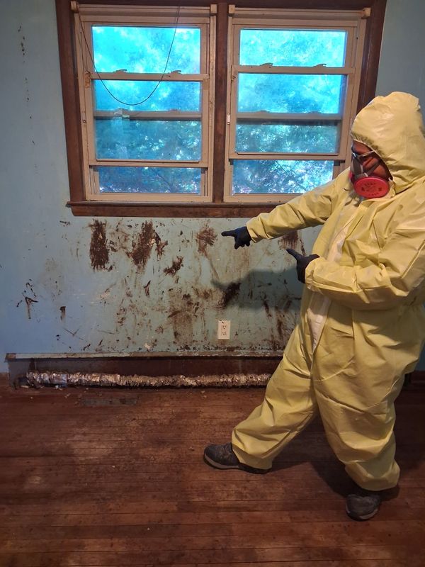 Demolition Services