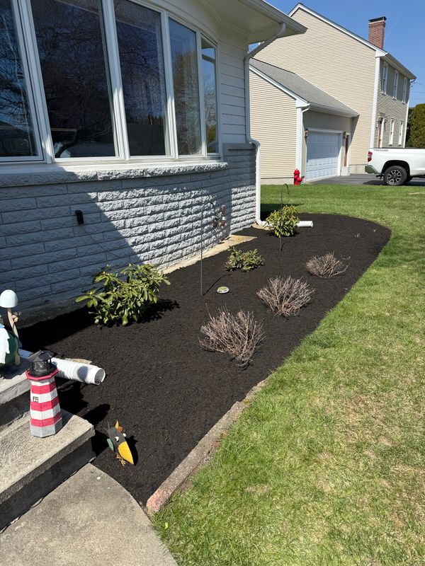 Mulch Installation