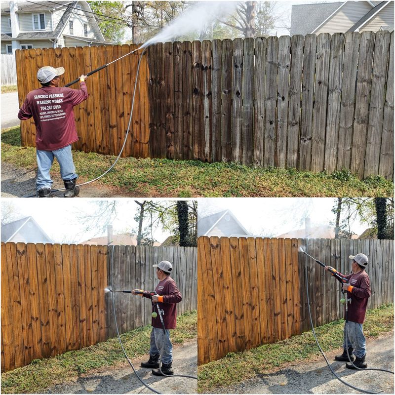 Deck & Fence Cleaning