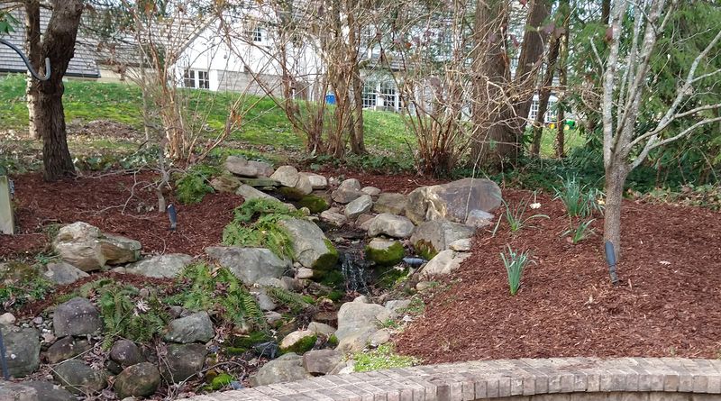 Mulch Installation
