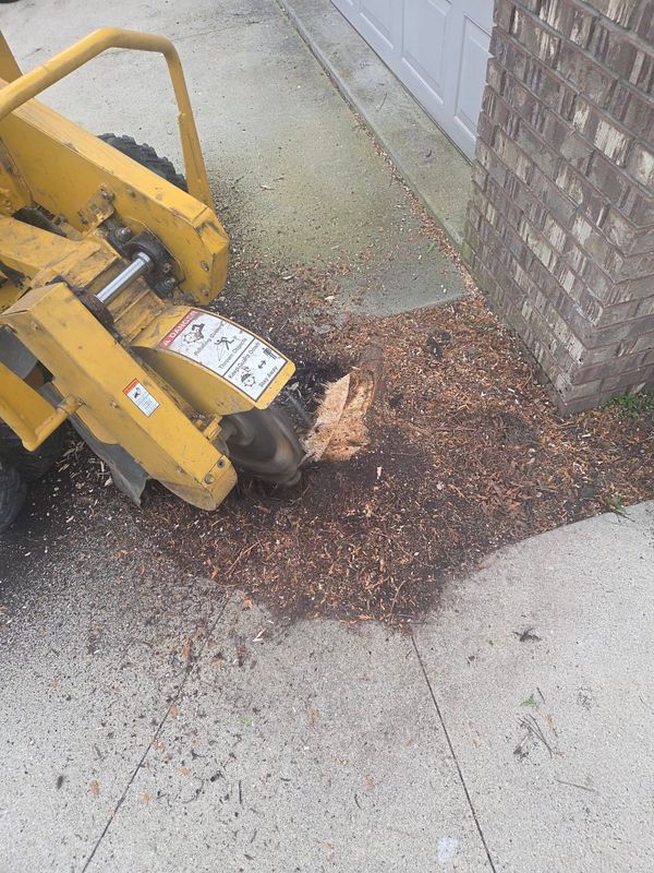 Stump Grinding