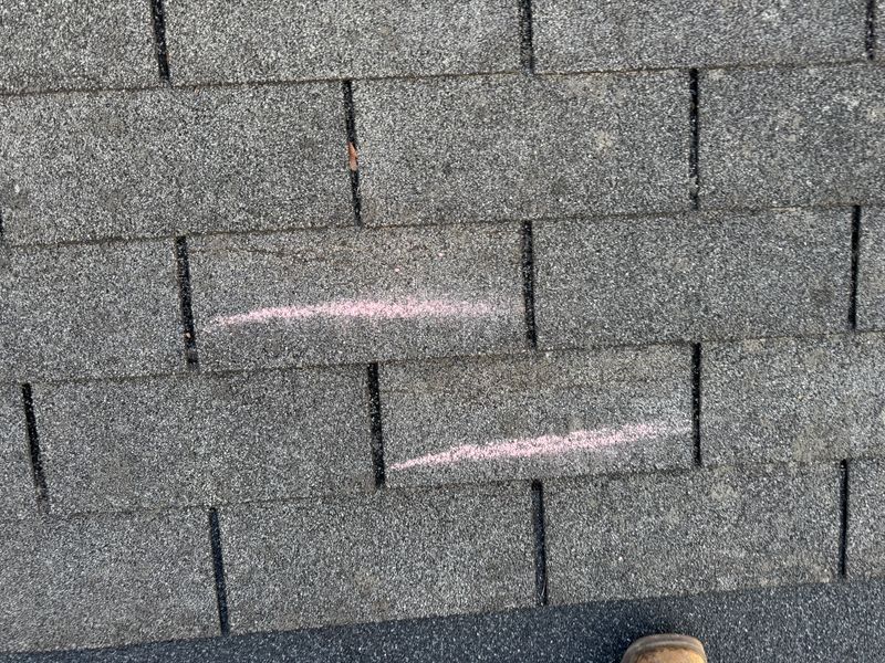 Roofing Consultations