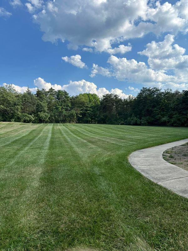 Landscaping 