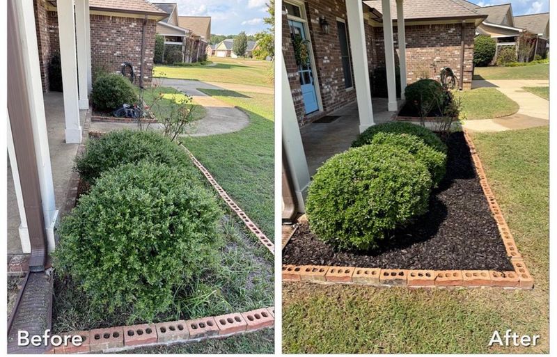 Mulch beds