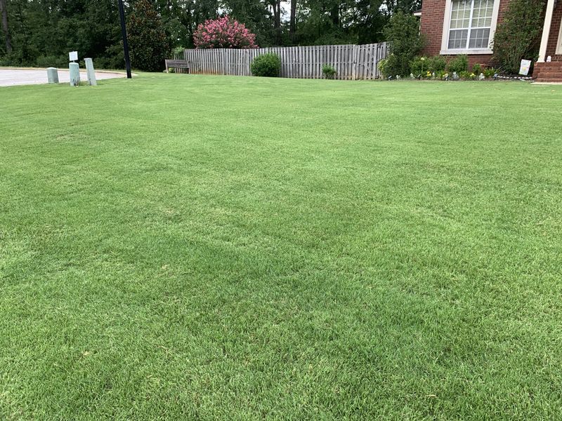 Lawn Care gallery