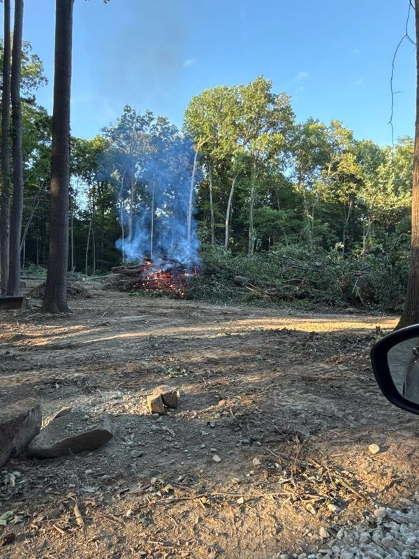Land Clearing