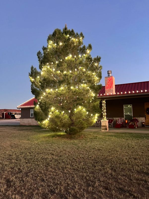 Holiday Lighting