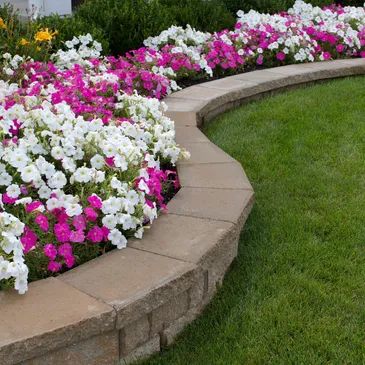 Yard Clean Ups & Seasonal Services
