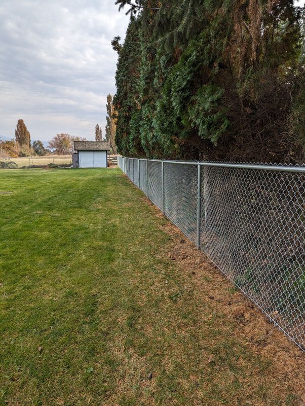 Fence Installation
