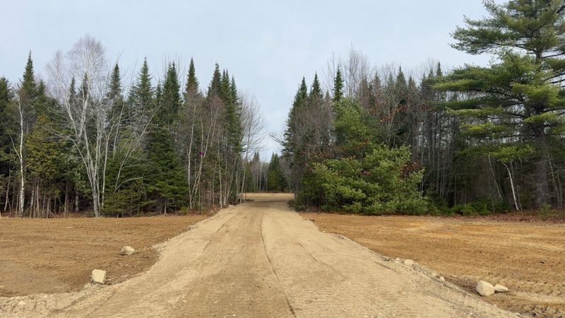Land Clearing & Forestry Mulching