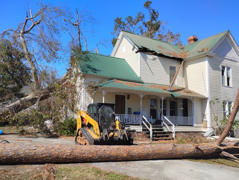 Tree Removal