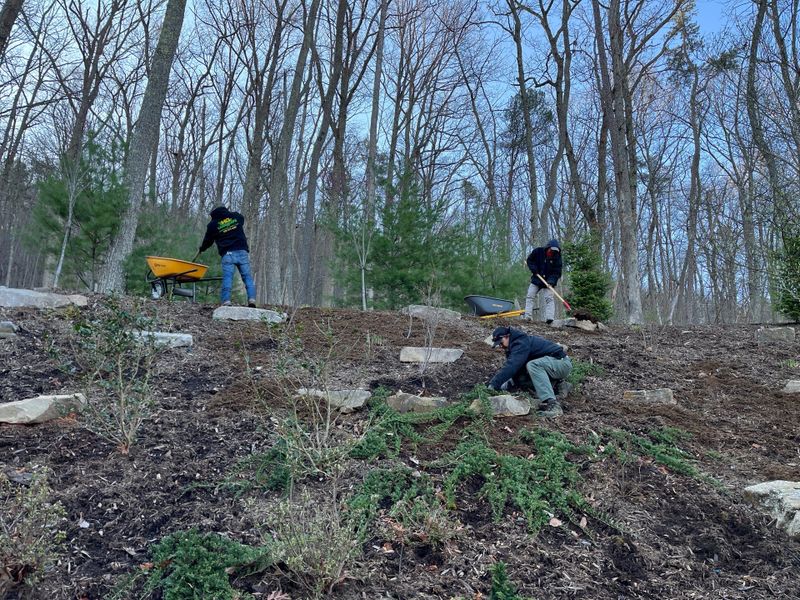 Planting, irrigation, yard features and mulch