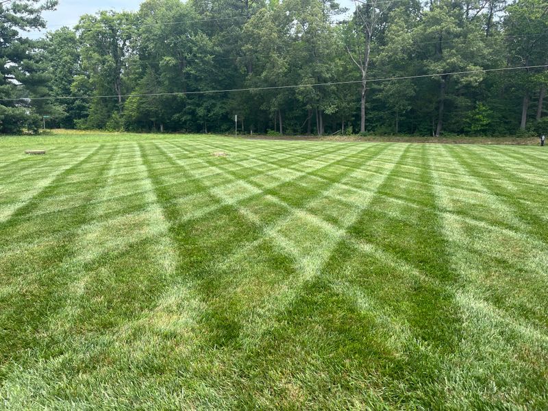 Lawn Care