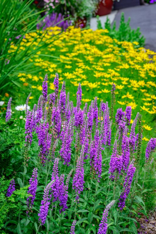 Perennial Gardens gallery