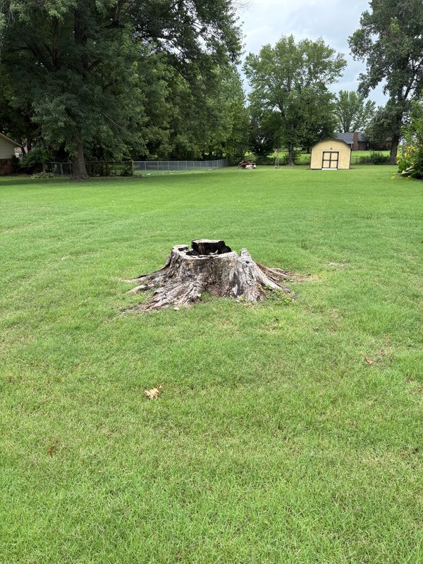 Stump Removal