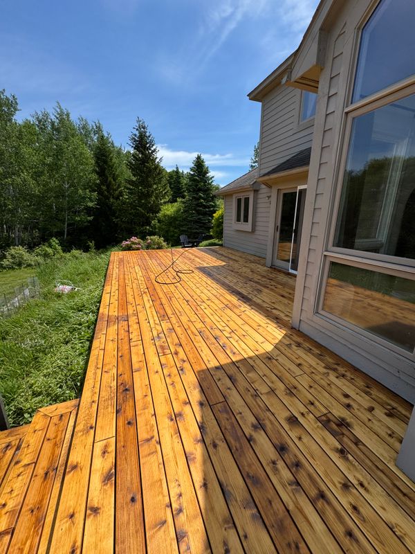 Deck & Patio Restoration