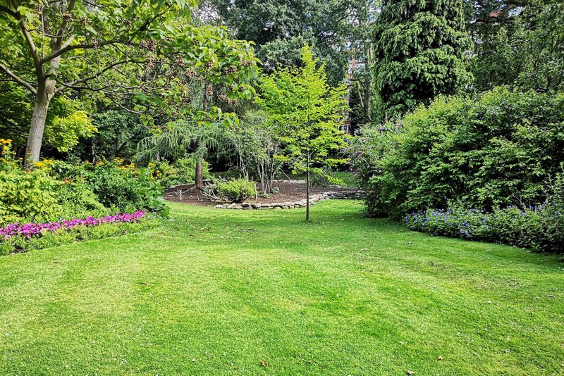 Lawn Care & Maintenance