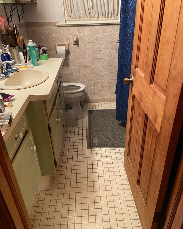 Bathroom Cleaning