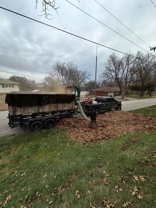 Leaf Removal