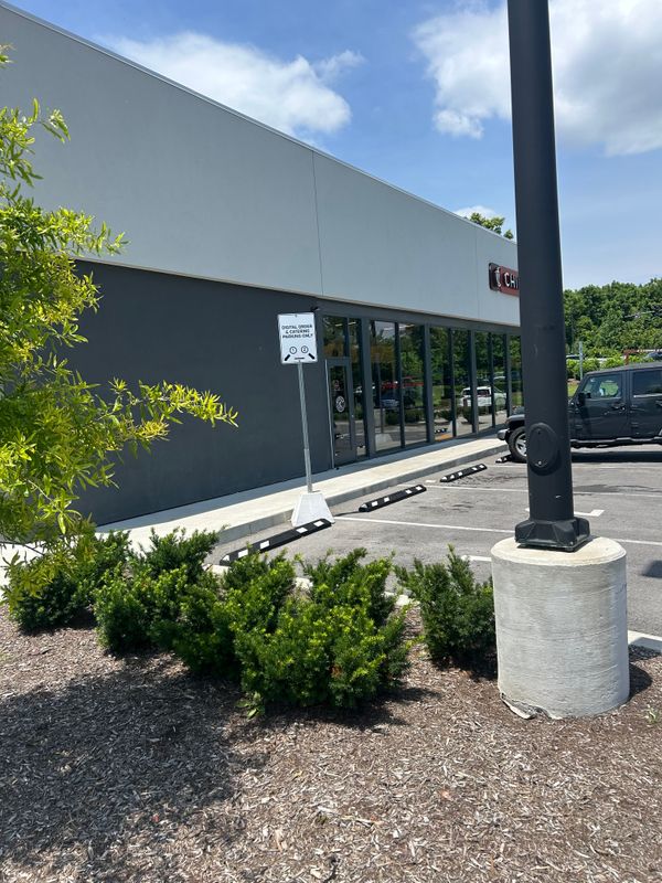 Tree & Shrub Care