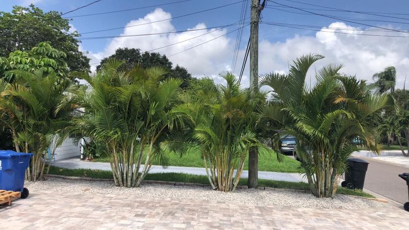Landscape Design