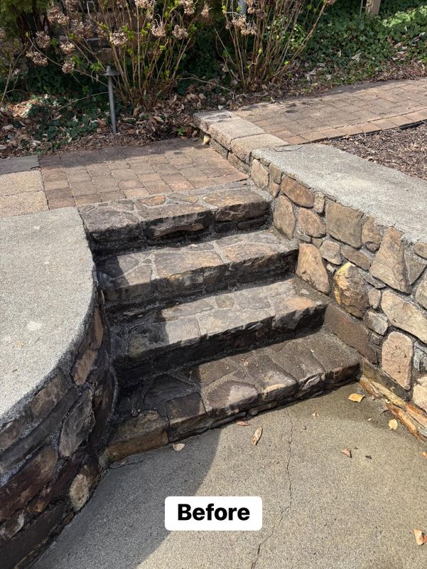 Driveway and Sidewalk Cleaning