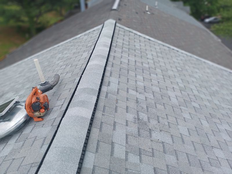Shingle Roof Replacement